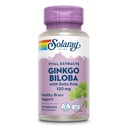 SOLARAY Ginkgo Biloba Extract with Gotu Kola - Ginko Biloba Capsules for Brain Health Support - Vegan, Lab Verified, 60-Day Guarantee - 60 Servings, 60 VegCaps (30 VegCaps)