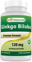 Best Naturals Ginkgo Biloba 120 mg 120 Capsules