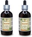 Spilanthes (Acmella oleracea) Tincture, Organic Dried Leaves, Flowers and Stems Liquid Extract (Brand Name: HerbalTerra, Proudly Made in USA) 2x4 fl.oz (2x120 ml)