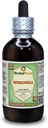 Speedwell (Veronica Officinalis) Glycerite, Organic Dried Leaves Alcohol-Free Liquid Extract (Brand Name: HerbalTerra, Proudly Made in USA) 4 fl.oz (120 ml)