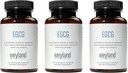 EGCG | Green Tea Extract | 400 mg - Antioxidant Supplement | Vegan, Gluten Free | 100 Vegetarian Capsules (Pack of 3)