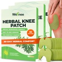 Wellnee Original Herbal Knee Patch - Wellknee Plaster for Knee Support & Muscle Pain - Maximum Strength for a Temporary Relief - Adhesive Heat Patches Made with Natural Herbs for Wellness (30 Pads)