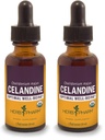 Herb Pharm Certified Organic Celandine Liquid Extract - 1 Ounce (Pack of 2)