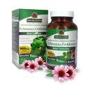 Nature's Answer Echinacea & Goldenseal | Dietary Supplement | Supports a Healthy Immune System | Non-GMO & Kosher Certified | Vegetarian/Vegan Capsules 90ct