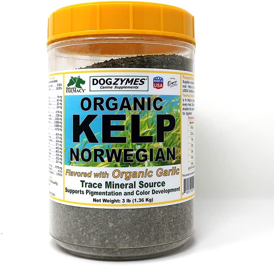 Dogzymes Organic Norwegian Kelp Enhanced with Garlic (3 Pound)