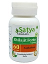 Generic O r g a n i c Shilajit capsule 60 Servings per Bottle 500mg ayurvedic no artificial ingredients included (Single pack)