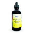 BioPure Cryptolepis Herbal Tincture | Potent Botanical Extract of Cryptolepis Sanguinolenta for Immune Support and Microbiome Balance - 4 fl oz
