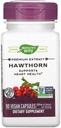 Nature's Way Hawthorn Berries, 90 Capsules (Pack of 2)