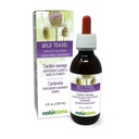 Naturalma Wild Teasel or Fuller's Teasel (Dipsacus fullonum or D. sylvestris) Root Alcohol-Free Tincture - 4 fl oz Liquid Extract in Drops - Herbal Supplement - Vegan