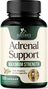 Nature's Nutrition Adrenal Support Supplements Cortex Complex, Best Energy Supplement, Supports Health & Energy Levels, Daily Ashwagandha for Women & Men, Supports Immune System, 120 Capsules