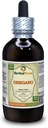 Oregano (Origanum Vulgare) Tincture, Organic Dried Leaves Liquid Extract (Brand Name: HerbalTerra, Proudly Made in USA) 4 fl.oz (120 ml)