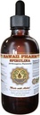 HawaiiPharm Spirulina Liquid Extract, Organic Spirulina (Arthrospira platensis) Tincture, Herbal Supplement, Made in USA, 2 fl.oz