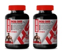 Muscle Builder Pills for Men - BRANCHED Chain Amino Acid - BCAA 3000MG - bcaa Train and Recover - 2 Bottles 240 Tablets
