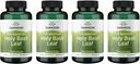 Swanson Holy Basil Leaf (Tulsi) - Stress Support and Well-Being Supplement - (120 Capsules, 800mg Per Serving) (4 Pack)