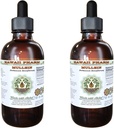 Mullein Alcohol-Free Liquid Extract, Organic Mullein (Verbascum densiflorum) Dried Flower Glycerite Natural Herbal Supplement, Hawaii Pharm, USA 2x4 oz