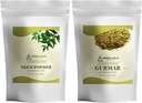 HERBAL HILLS Neem Leaf Powder and Gurmar Powder Gymnema Sylvestre Pack of 2 Combo