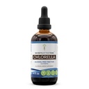 Secrets of the Tribe Chlorella Tincture Alcohol-Free Liquid Extract, Chlorella (pyrenoidosa) Dried Algae (4 FL OZ)