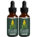 ETHALE Mullein Drops for Lungs – Natural Herbal Supplement with Mullein Leaf & Chlorophyll – Daily Lung and Breathing Support – 30 Day Supply, Non-GMO, Plant-Based Formula (2)