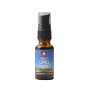 WishGarden Herbs Deep Lung & Bronchial Support - Natural Lung Support Supplement and Lung Cleanse for Smokers with Mullein Leaf, Supports Lung Health and Lung Detox, Promotes Lung Strength, .66oz