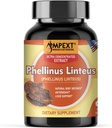 Phellinus linteus Mushroom Extract - Premium Quality, Only Fruiting Bodies, Antioxidant, Immunity Booster, Liver Support, 90 Veg Caps.