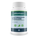 Lactobacillus Paracasei Gut Restoration Probiotic - Our Best Lactobacillus Paracasei Probiotic - Healthy Gut Microbiome Probiotics - Synbiotic Vitamin D Prebiotics and Probiotics for Women and Men