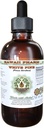 White Pine Alcohol-Free Liquid Extract, White Pine (Pinus Strobus) Dried Bark Glycerite Natural Herbal Supplement, Hawaii Pharm, USA 4 fl.oz