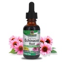 Nature's Answer Echinacea | Supports a Healthy Immune System | Non-GMO | Alcohol-Free, Gluten-Free, Vegan, Kosher Certified & No Preservatives 1oz