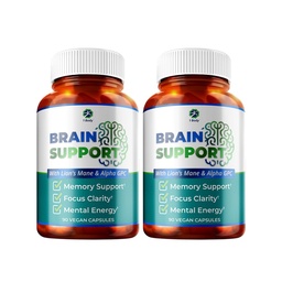 1 Body Brain Support Supplement with Alpha GPC and Lion's Mane Extract, 90 Capsules, Twin Pack