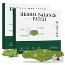 2 Boxes Herbal Body Patches, Natural Mugwort Ginger Angelica Astragalus Lotus Leaf Patch, Daily Body Care Pads, Gentle Soothing Patches for Waist Abdomen Relaxation