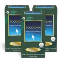 FINE JAPAN Fucoidan with Wakame Seaweed Extract & Agaricus Extract - Set of 3 - Vegetarian kelp Supplement, 33-Day Supply (198 Capsules)