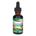 Nature's Answer Damiana Extract Alcohol-Free, 2,500 mg, 1-Ounce | Supports Overall Sexual Wellness | Vegan | Gluten-Free | Single Count