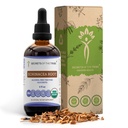 Echinacea Root USDA Organic Tincture | Alcohol-Free Extract, High-Potency Herbal Drops, Immune System Health | Made from 100% Certified Organic Echinacea Root (Echinacea Purpurea) 4 oz