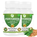 Fenugreek Capsules 500 mg (9:1 Extract) – 120 Veg Capsules | Methi Extract for Men & Women | Plant-Based Herbal Supplement | Vegan & Gluten-Free | Pack of 2 (Pack of 2)