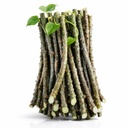 Giloy Stick (1 kg)