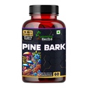 Humming Herbs Pine Bark Extract Capsules 1200mg - Potent Antioxidant for Prostate Health, Urinary Function, and Inflammatory Support - With Lions Mane, Turmeric, Alpha Lipoic Acid