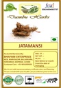 Dambu Herbs - JATAMANSI - 100 Gm, Nardostachys Jatamansi