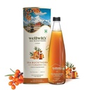 Wellwith by Ayuzera Turmeric Curcumin Oil with Sea buckthorn Berry Pulp 300ml | Kidney Detox | Hormonal Support and Skin Health Supplement | Ayurvedic and Natural, Makes 50 Glass Juice (Pack of 1)