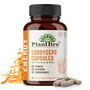 Cordyceps Militaris Capsules 500mg | Natural Energy & Immunity Booster | Herbal Strength, Stamina & Endurance Supplement for Men & Women (60 Capsules)