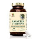Magnesium L-Threonate, 90 Capsules, Brain Health, Cognitive Support, Promotes Relaxation & Focus, High Absorption Formula