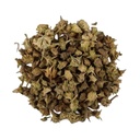TRH Gokhru Bada - Pedalium Murex - Large Caltrops - Gokhroo Bada - Land Caltrops - Gokharu - Gorkhu - Gokshura (200 gm)