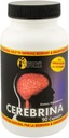 Sunshine Naturals Cerebrina with Ginkgo Biloba & L-Glutamic Memory & Focus Support Supplement – 90 Capsules – Brain Health Formula for Adults