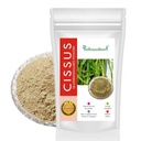 IndianJadiBooti Pure Hadjod Powder (Cissus Quadrangularis) | Traditional Botanical for Structural Harmony, Skeletal Resilience & Vata Balance - 250g Pack