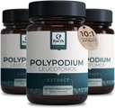 Polypodium Leucotomos Extract 10:1, 240 mg,120 Veg Capsules - Supports Natural Healthy Skin Care- Antioxidant- Natural Skin Tone- Vegetarian, Non- GMO 4 Month Supply