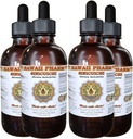 Sinicuichi Liquid Extract, Sinicuichi (Heimia Salicifolia) Tincture, Herbal Supplement, Hawaii Pharm, Made in USA, 4x4 fl.oz