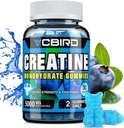 Creatine Monohydrate 5g Per Serving, No Sugar Creatine Supplements Support for Strength, Performance, Energy, Recovery, Gluten-Free Creatine for Women and Men, Blueberry Flavor (30 Gummies109)