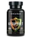 Leviathan Nutrition GI | Promotes Healthy Gut Health & Gut Bacteria - MicroBiome Bloating Balance Probiotic & Intestinal Lining Health with Zinc-L-Carnosine, Butyrate, & DGL Supplement - 120 Capsules