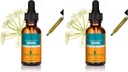 Herb Pharm OSHA Root Liquid Extract for Respiratory Support - 1 Ounce (Pack of 2)