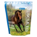 Muscle EQ™ Powder | Muscle Supplement with L-Carnitine for Horses | Amino Acid Beta-Alanine for Optimal Muscle Function & Supports Recovery | 4.3 lb Bag