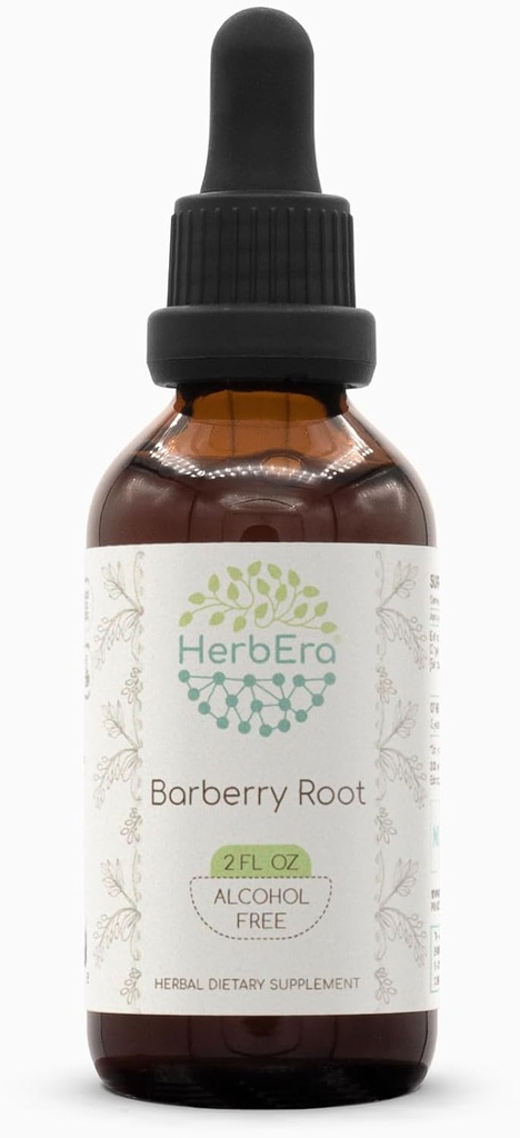 Barberry Root B60 Alcohol-Free Herbal Extract Tincture, Concentrated ...