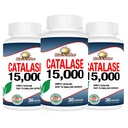 Rise-N-Shine Catalase Supplement 15,000 - Powerful Antioxidant Enzyme for Hair Health - Hair Supplements for Strong Hair - 90 Capsules - Pack of 3 Full Size Bottles (90-Day Supply)